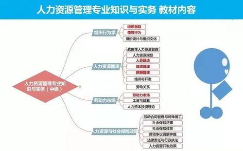 优佳教育 人力资源管理师职称报考流程及学习经验