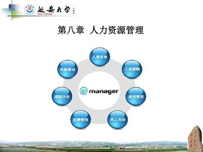 第八章人力资源管理