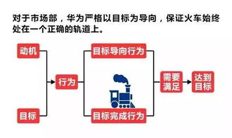 任正非 接班人 早已定下 深度解析华为的人力资源体系