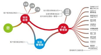 金融咨询的范围