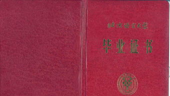 北京语言大学大专 专升本网络教育报名 人力资源管理